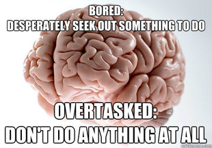 Scumbag Brain