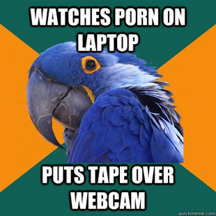 Paranoid Parrot