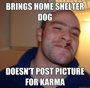 Good Guy Greg