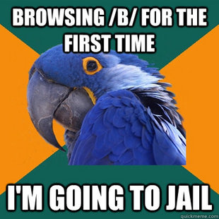 Paranoid Parrot