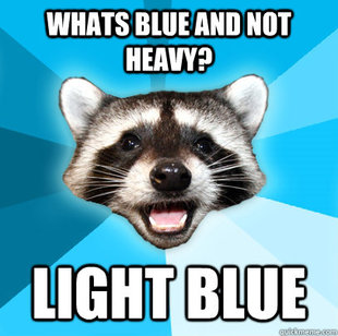 Lame Pun Coon