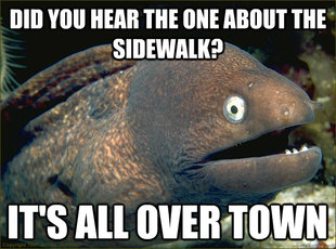 Bad Joke Eel