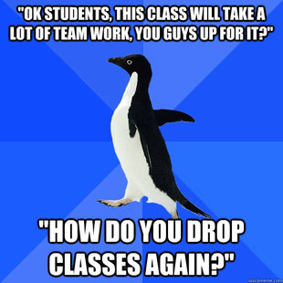 Socially Awkward Penguin