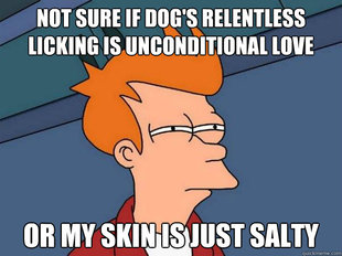 Futurama Fry