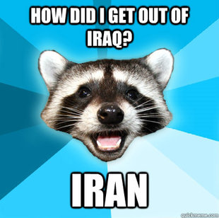 Lame Pun Coon