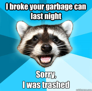 Lame Pun Coon
