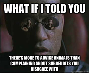 Morpheus SC