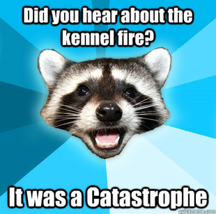 Lame Pun Coon