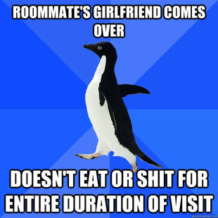 Socially Awkward Penguin