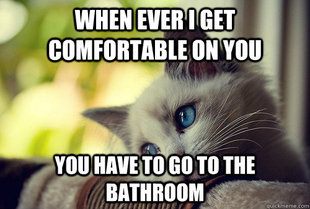 First World Problems Cat