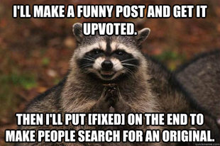 Evil Plotting Raccoon