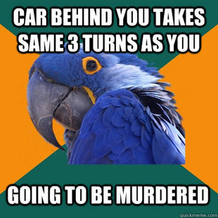 Paranoid Parrot