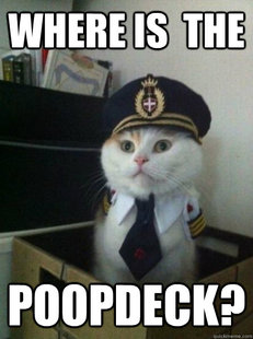 Captain kitteh