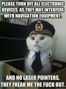 Captain kitteh