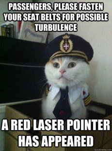 Captain kitteh