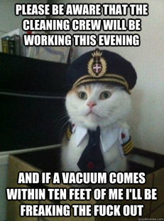 Captain kitteh