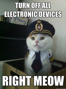 Captain Kitteh