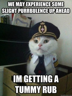 Captain kitteh