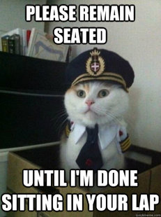 Captain kitteh