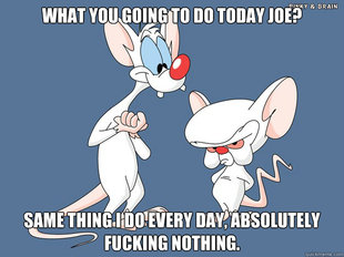 Pinky And The Brain