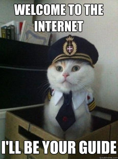 Captain kitteh