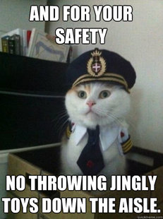 Captain kitteh