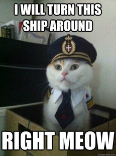 Captain kitteh