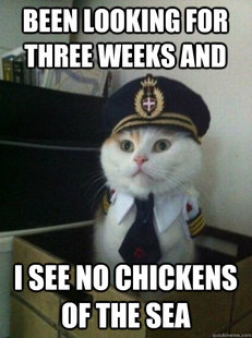 Captain kitteh