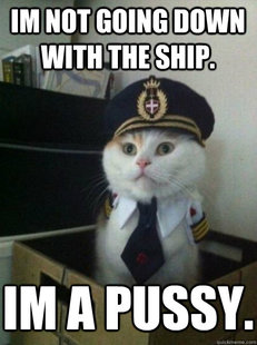 Captain kitteh