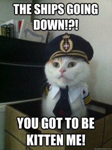 Captain kitteh