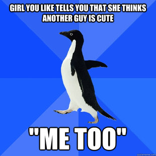 Socially Awkward Penguin