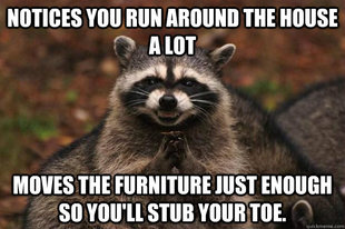Evil Plotting Raccoon