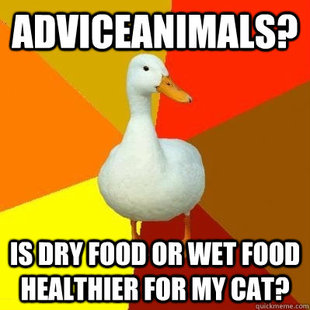 Tech Impaired Duck