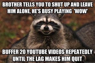 Evil Plotting Raccoon