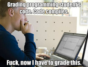 Programmer