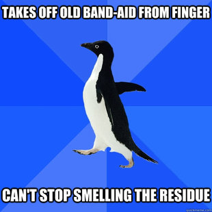 Socially Awkward Penguin