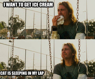 First World Stoner Problems