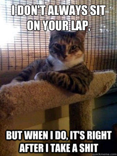 The Most Interesting Cat in the World
