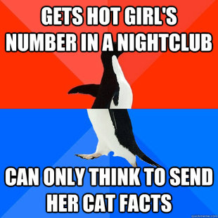Socially Awesome Awkward Penguin