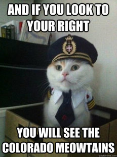 Captain kitteh