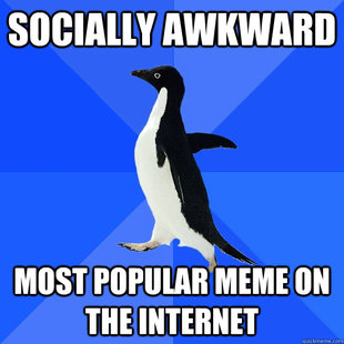 Socially Awkward Penguin