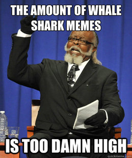 The Rent Is Too Damn High