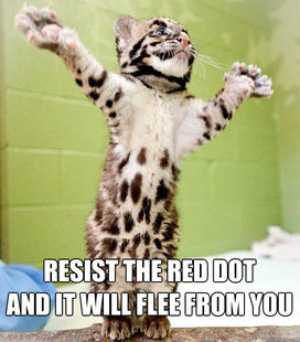 PastorCat