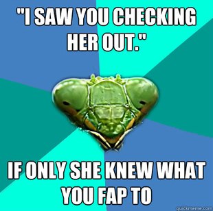 Crazy Girlfriend Praying Mantis