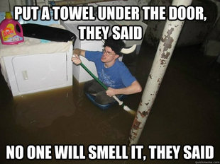 Do the laundry they said