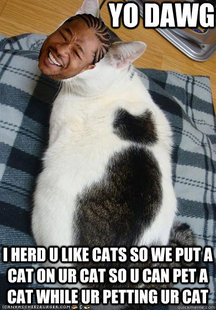 Xzibit Cat