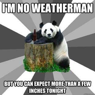   Meme on Make Your Own Pickup Line Panda Meme Using Our Meme Generator