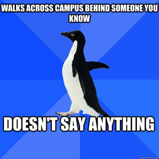 Socially Awkward Penguin