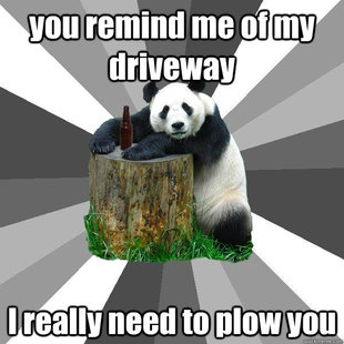 Pickup-Line Panda
