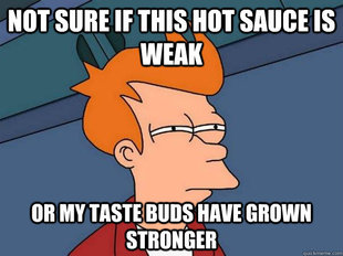 Futurama Fry